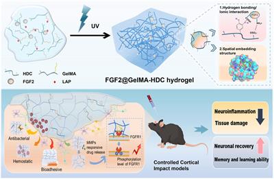 Advances of naturally derived biomedical polymers in tissue engineering